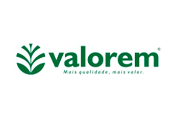 Cliente valorem